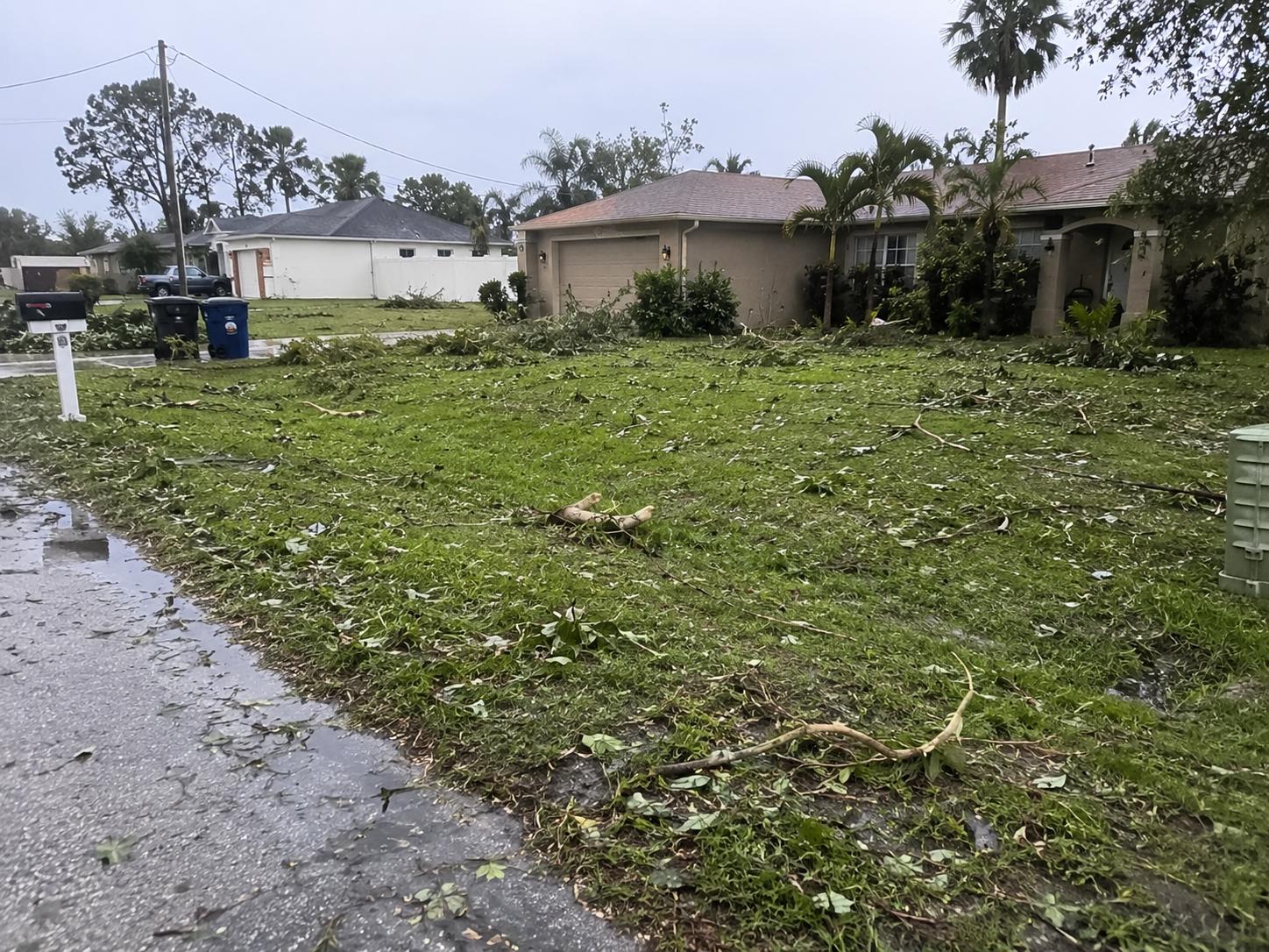 Storm & Special Cleanups