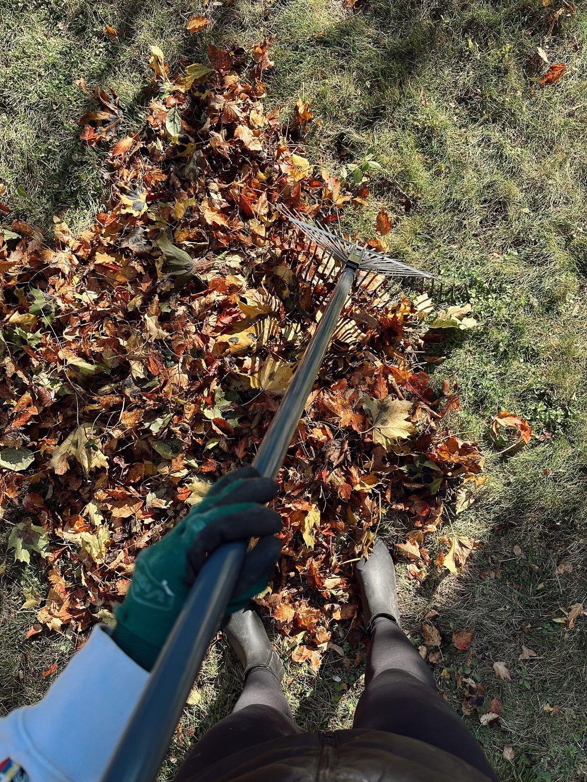 Property Cleanups